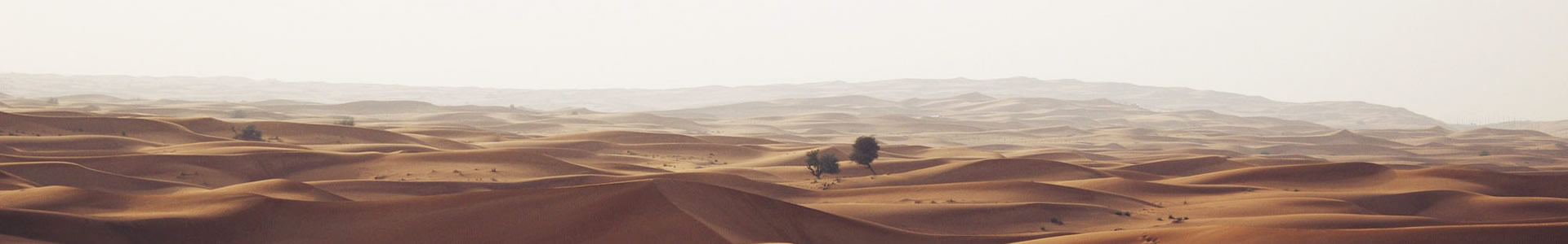 ɽԴũҵƼ޹˾